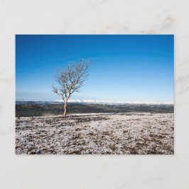 Scout Scar Winter Sjö Distrect England Vykort