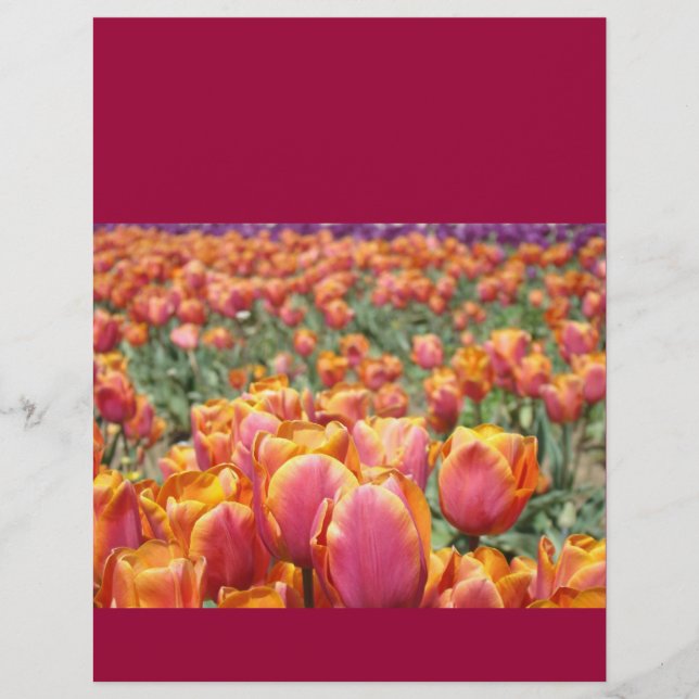 Scrapbookingpapper Färgglada Tulpaner Blomsterfest (Framsida)