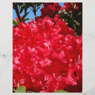 Scrapbookingpapper Röda Rhodies Sommar