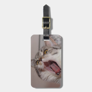 Screaming British Shorthair Bagagebricka