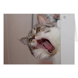 Screaming British Shorthair Hälsningskort