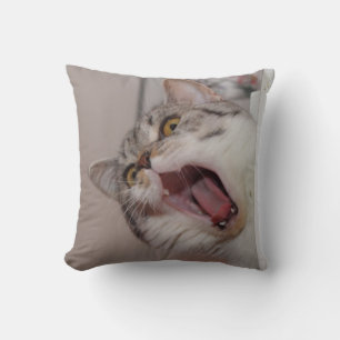 Screaming British Shorthair Kudde