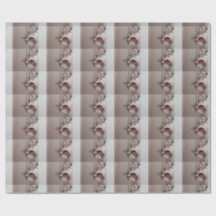 Screaming British Shorthair Presentpapper