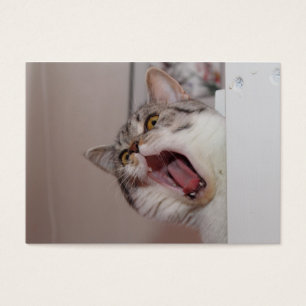 Screaming British Shorthair Visitkort