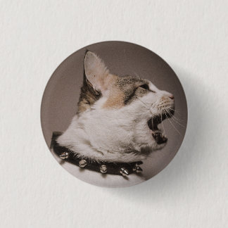 Screaming Calico Cat Pin Knapp