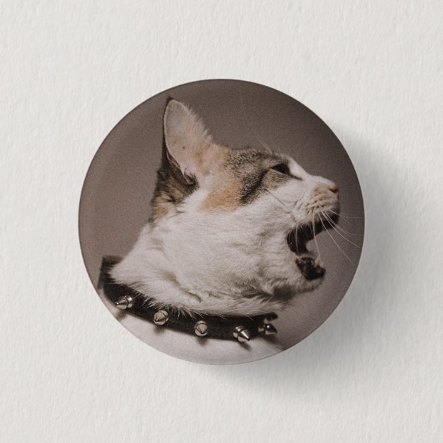 Screaming Calico Cat Pin Knapp (Framsida)