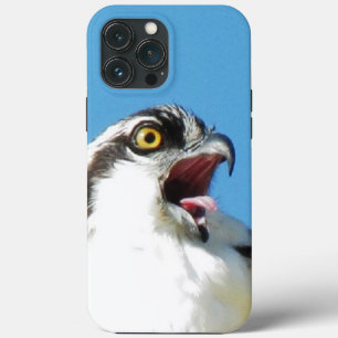 Screaming Osprey-Tuff