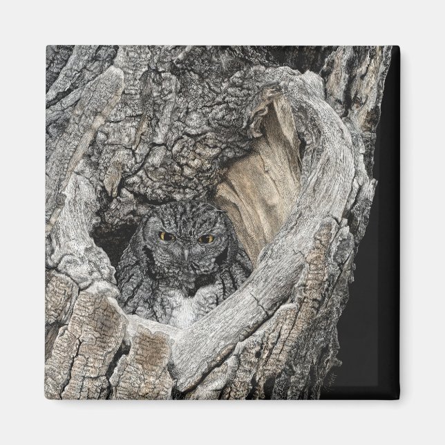 Screech Uggla Magnet - "Heart of San Pedro" (Framsidan)