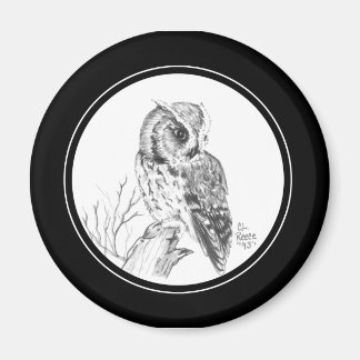 Screech Uggla Magnet i pennan