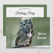 Screech Uggla Träd Gren födelsedag i