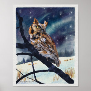 Screech Uggla Winter Natt Poster