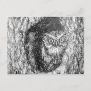 Screech Ugglor Uggla Charcol Black & White Tecknin Vykort