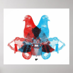 Screenprinted fotografduvaspion poster