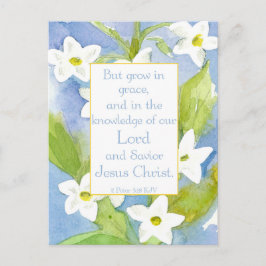 Scripture 2 Peter 3:18 Nicotiana Flowers Helg Vykort