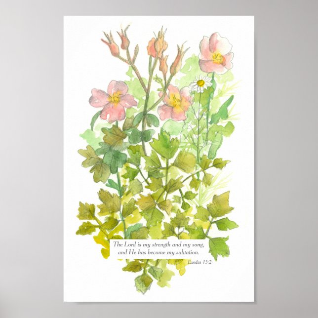 Scripture Exodus 15:2 Bible Verse Primrose Flowers Poster (Framsidan)