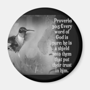 SCRIPTURE för Proverbs30:5BIBEL med hummingbirden Magnet