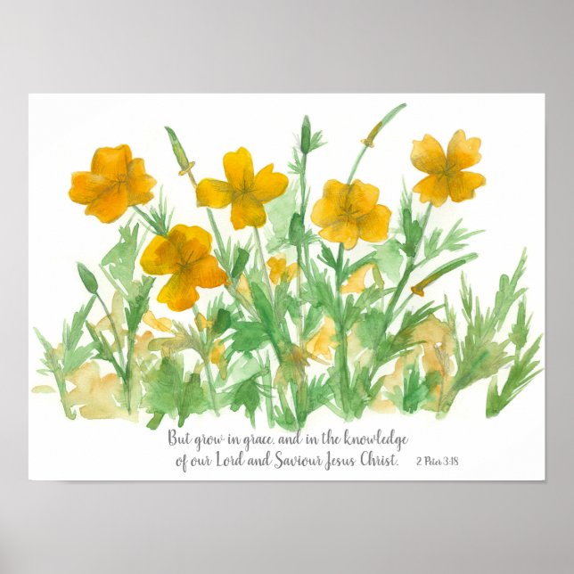 Scripture Peter 3:18 Bible Verse California Poppy Poster (Framsidan)