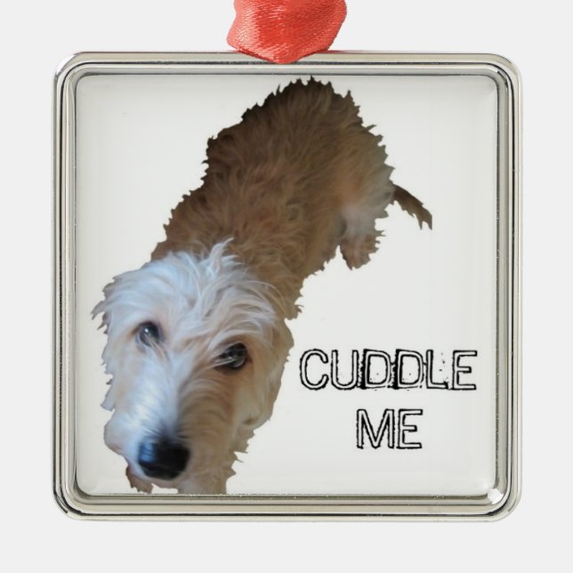 SCruffy Hund "CUDDLE ME" Ornament (Framsidan)