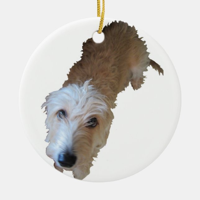 SCruffy Hund Ornament (Framsidan)