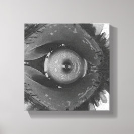 Scrunched Chicago Eye Canvastryck