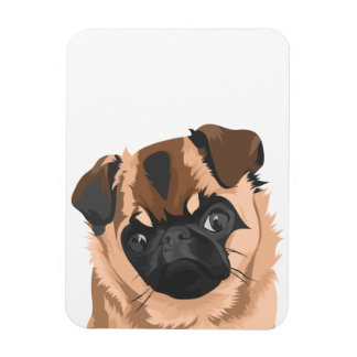 Scully Magnet
