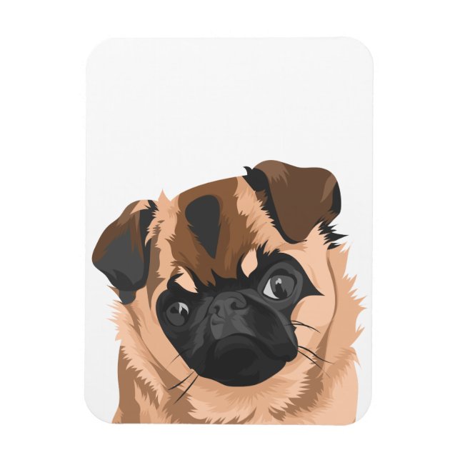 Scully Magnet (Vertikal)