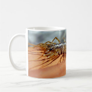 Scutigera Coleoptrata Kryp Mugg