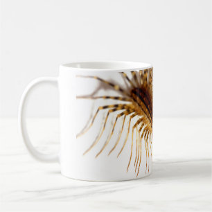 Scutigeracoleoptrata Kaffemugg