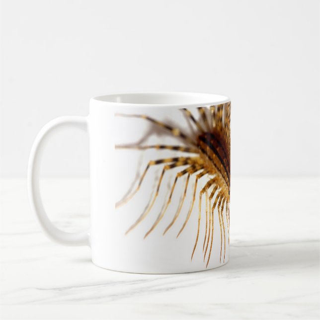 Scutigeracoleoptrata Kaffemugg (Vänster)
