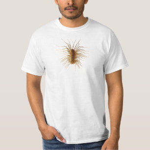 Scutigeracoleoptrata Tee Shirt