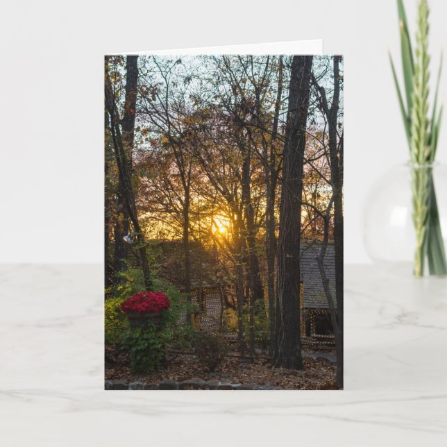 Sdc Skogen Sunset Kort (Framsida)