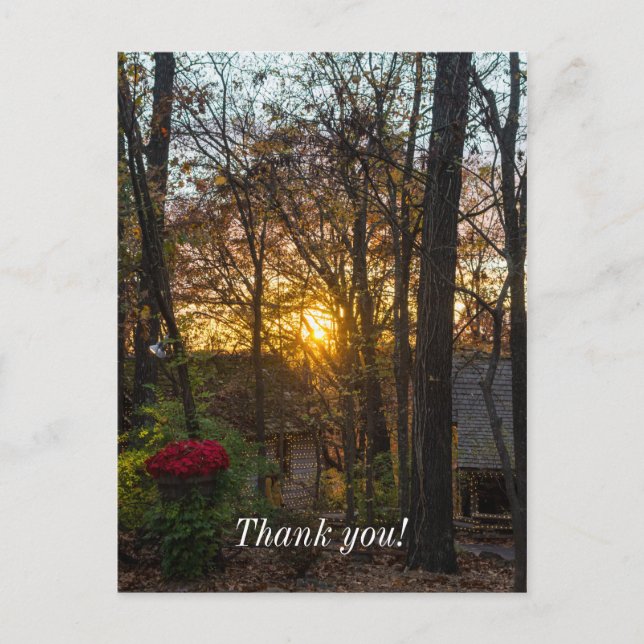 Sdc Skogen Sunset Vykort (Framsida)