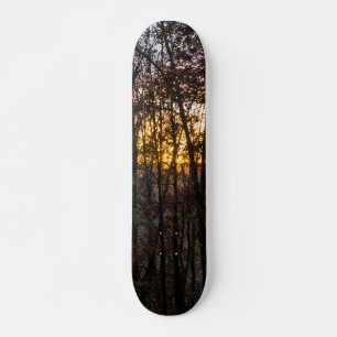 SDC Woody Sunset Mini Skateboard Bräda 18,5 Cm