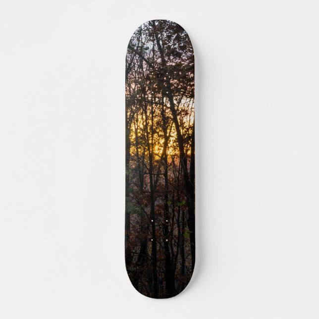 SDC Woody Sunset Mini Skateboard Bräda 18,5 Cm (Framsida)
