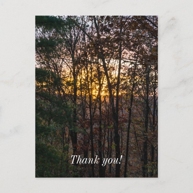 SDC Woody Sunset Vykort (Framsida)