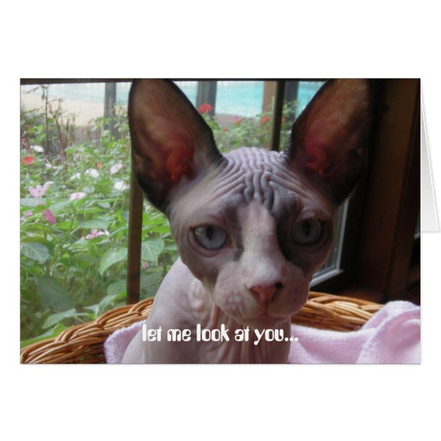 Se dig hälsningskort (Framsidan Horizontal)