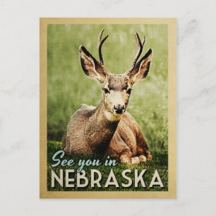Se dig i Nebraska - Stag Hjort Wildlife Vykort