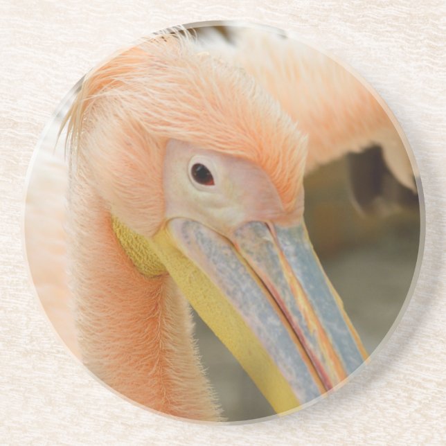 Se dig Underlägg Pelican Sandstone (Framsidan)