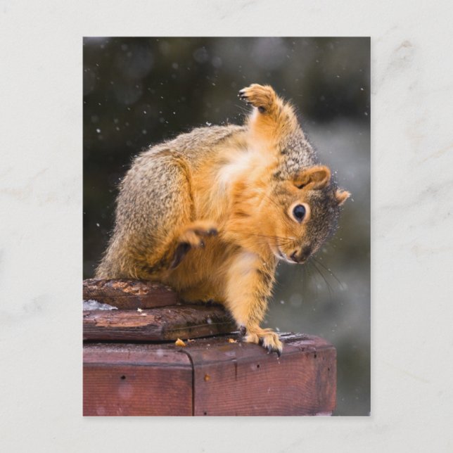 Se ditt steg vykort (Framsida)