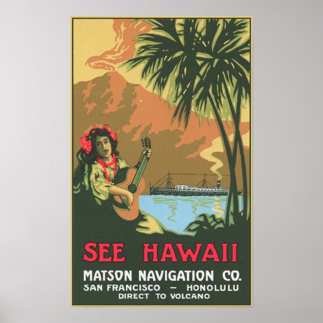 Se Hawaii Poster (Framsidan)