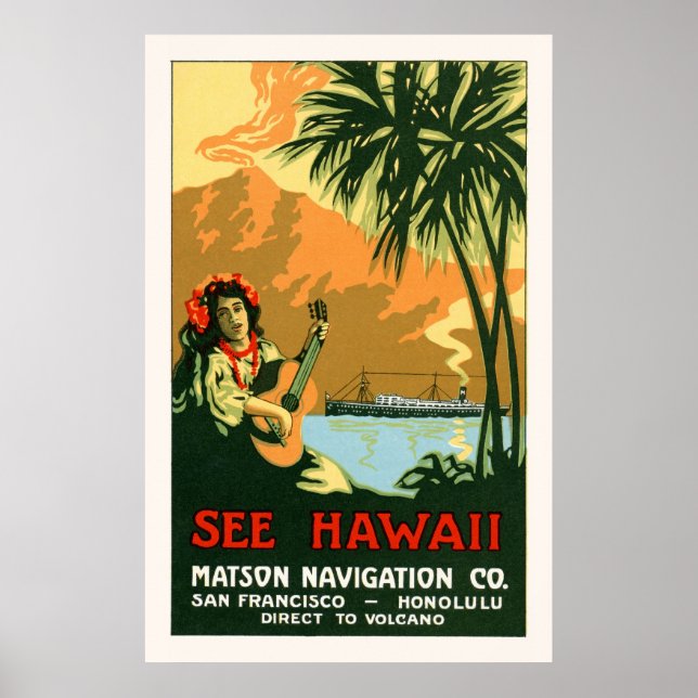 Se Hawaii Travel Poster (Framsidan)