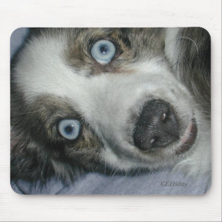 Se in i min ögon! musmatta