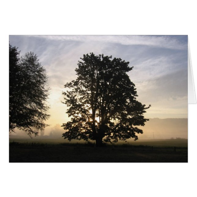 Se kortet för båda sidor OBS kort (Framsidan Horizontal)