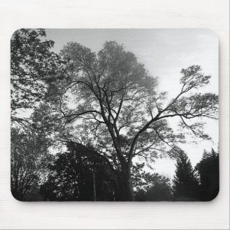 Se mitt träd Mousepad Musmatta