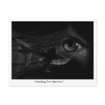 Se över Sparrows Postcross-vykort