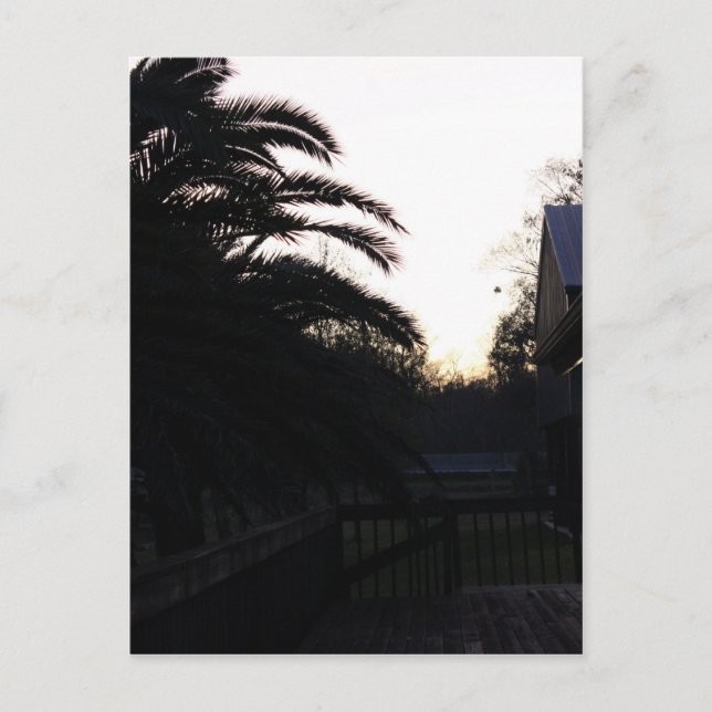 Se solnedgången vykort (Framsida)