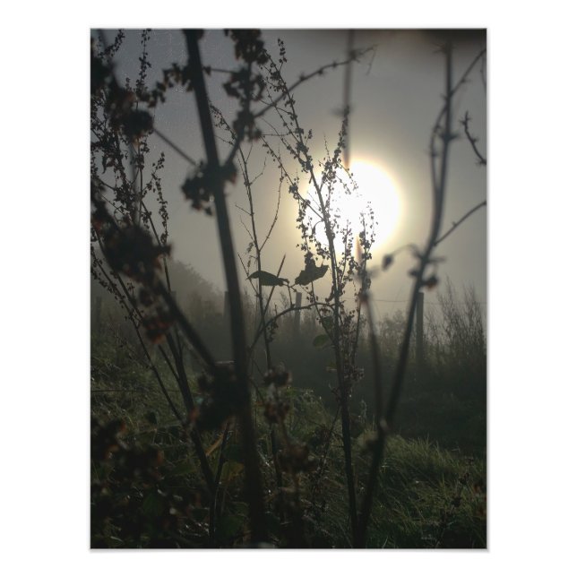 Se stor i liten fototryck (Framsidan)