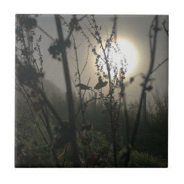 Se stor med liten fotoutskrift kakelplatta