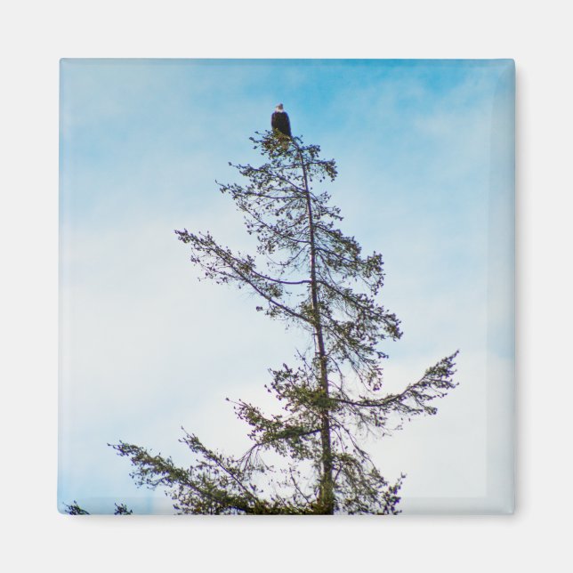 Se Torn Magnet (Framsidan)