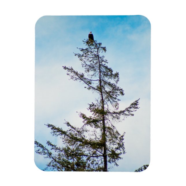 Se Torn Magnet (Vertikal)